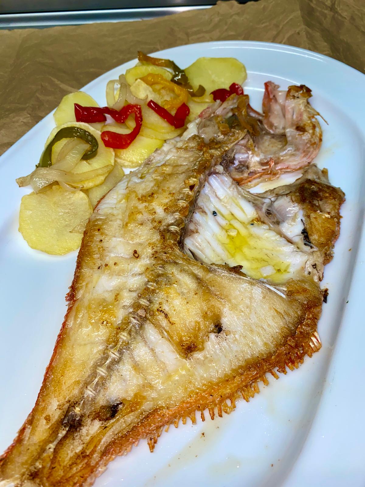 Red Bream Rock Fish