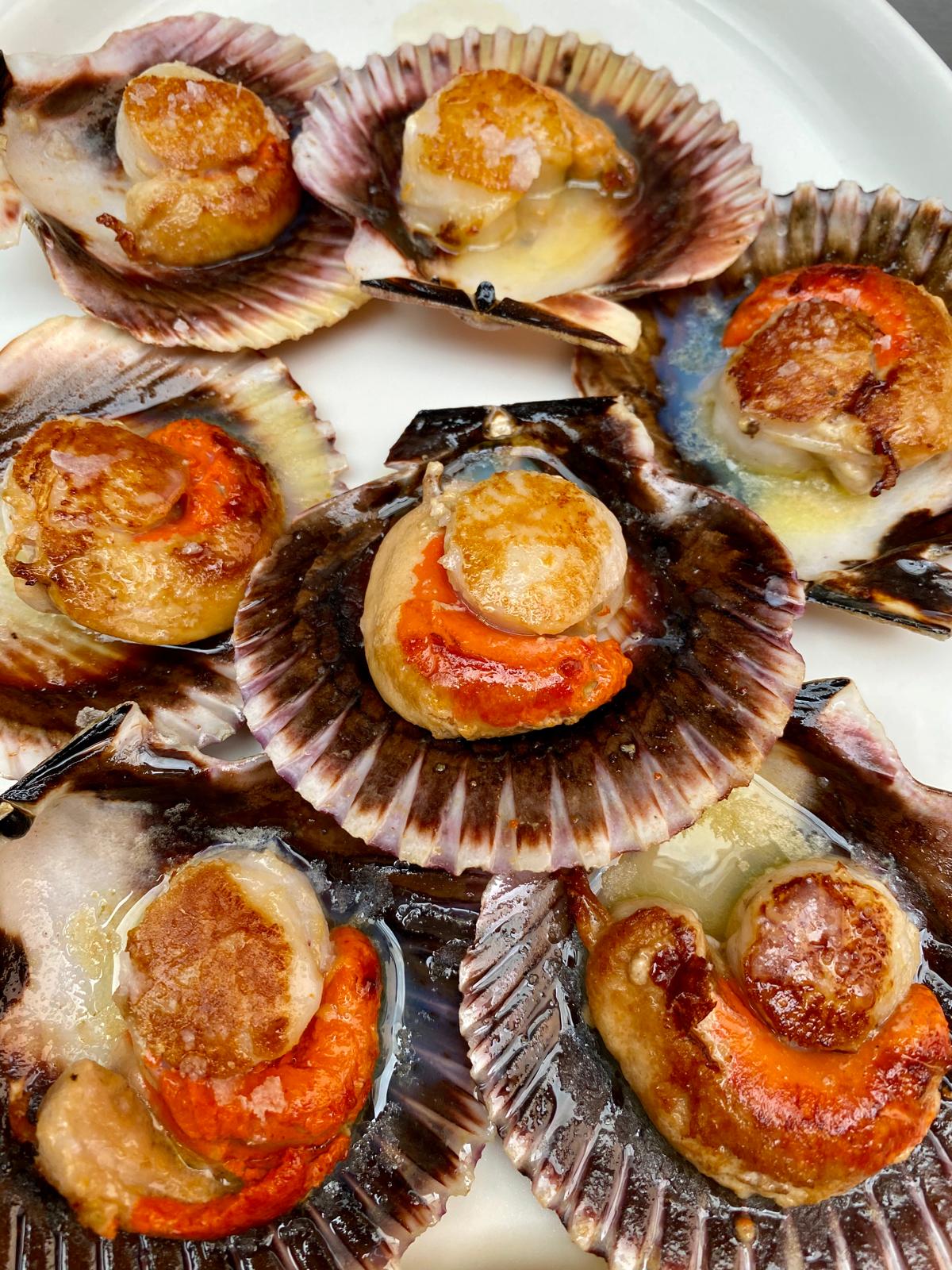Scallops