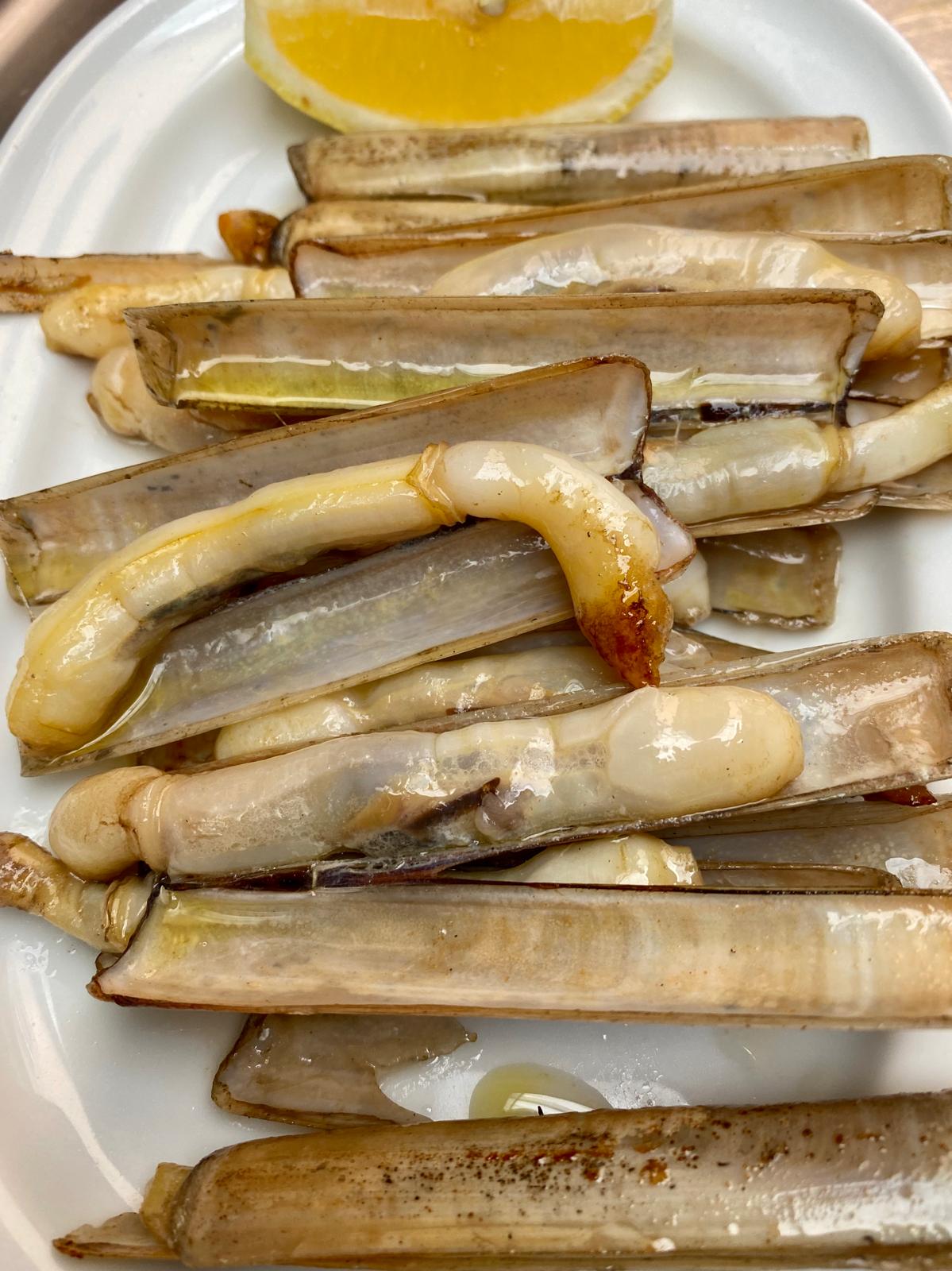 Razor Clams