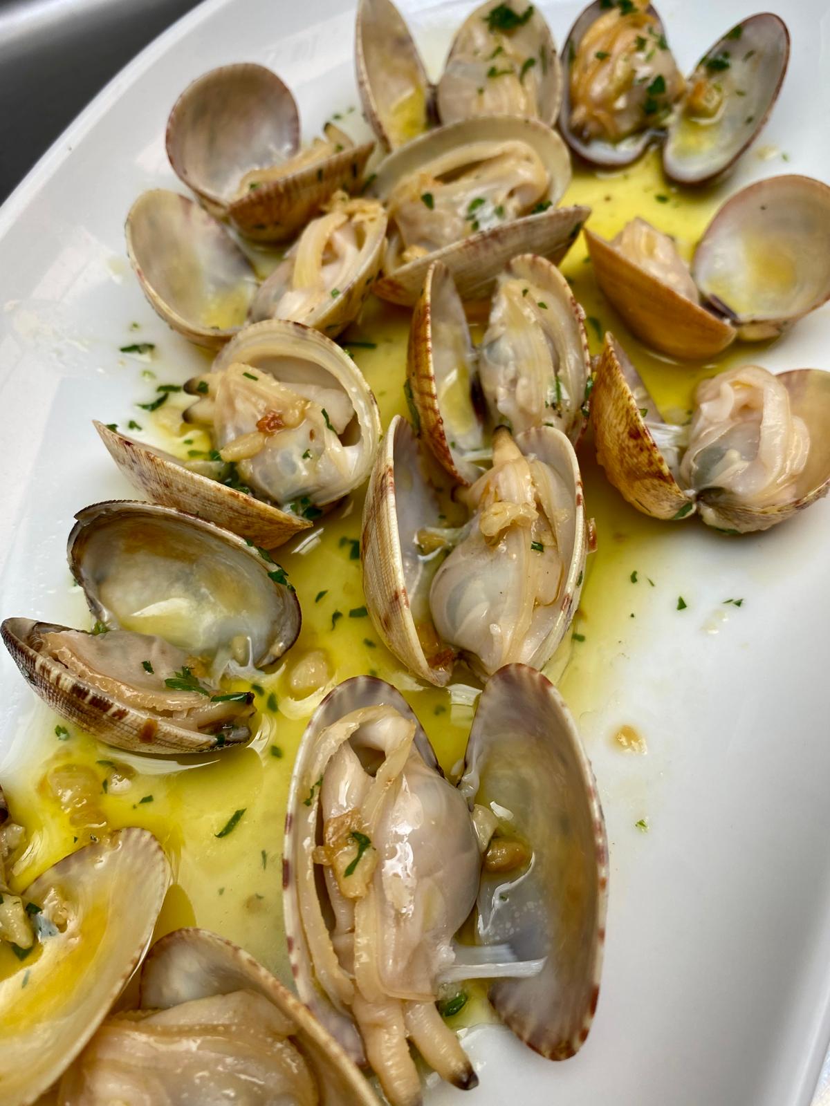 Clams