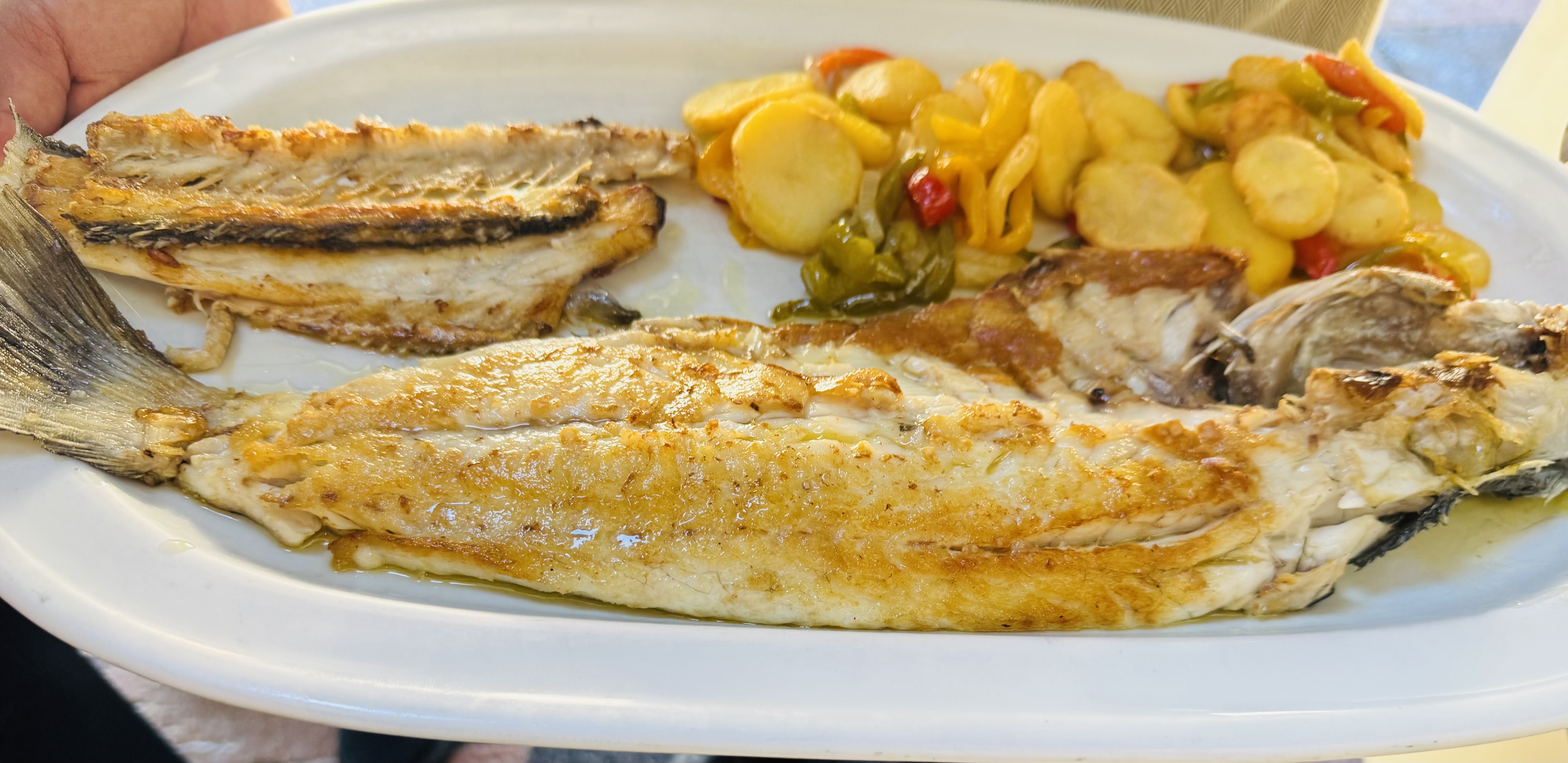 Sea Bass