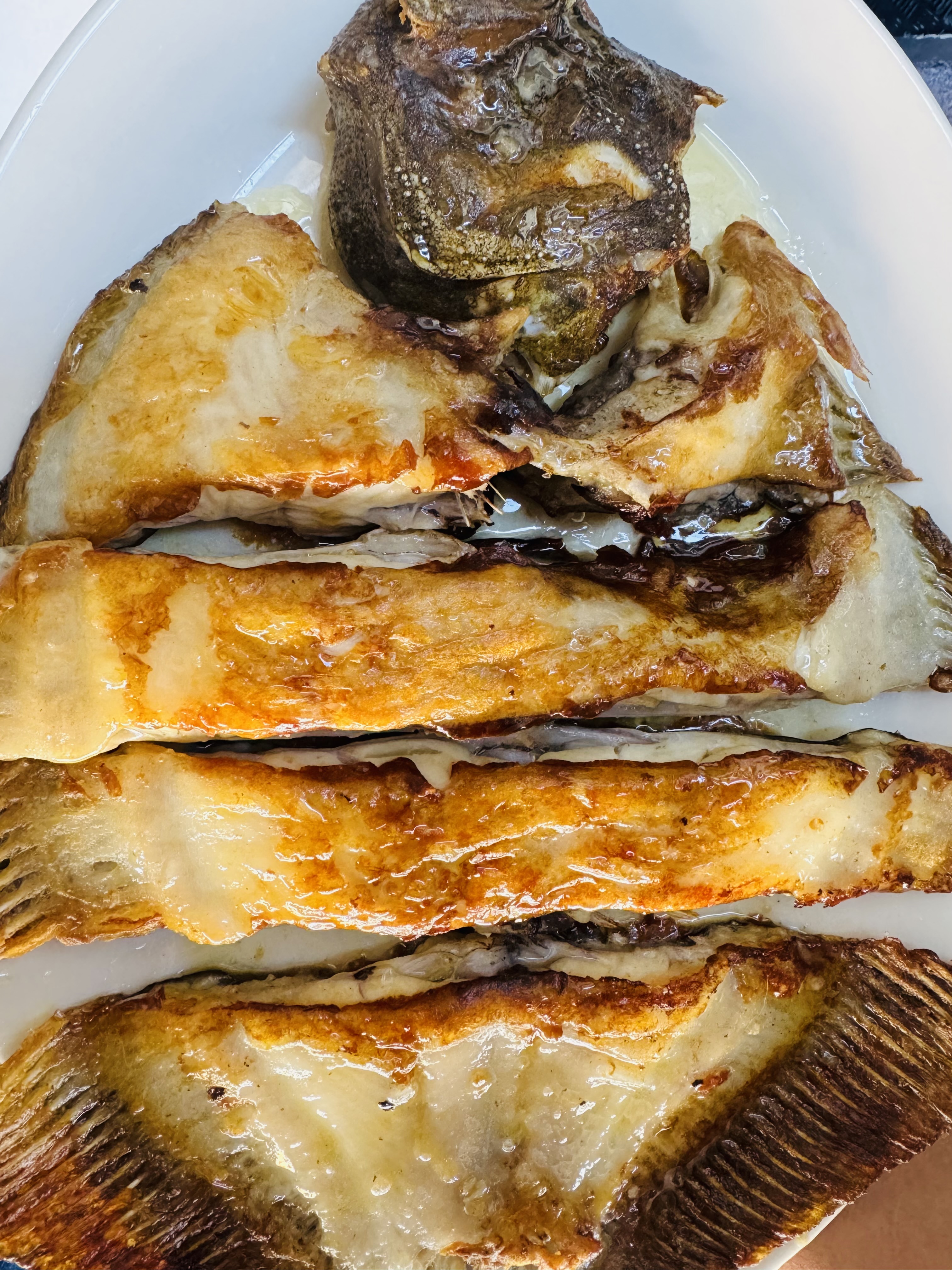 Turbot