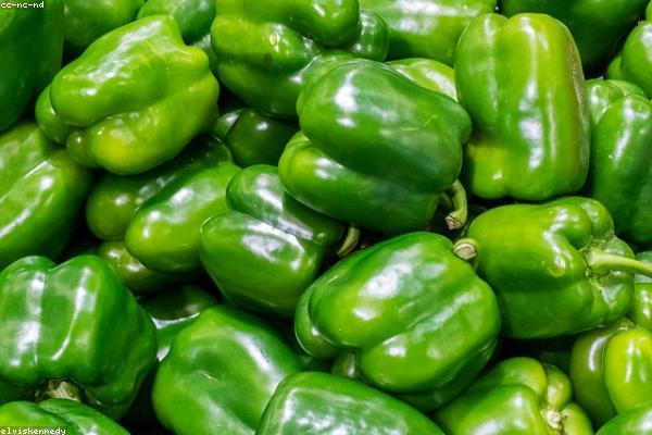 Pimientos del Padrón